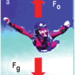 12-fisica-estudiante-pdf-32-638
