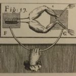 fb5b52d02ac00f6a0ebecad8893e4bee–luigi-galvani-labs