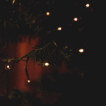 tumblr_ng6c17JRWd1s2xcb1o1_500